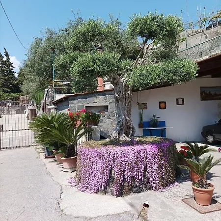 Il Piennolo Apartment *